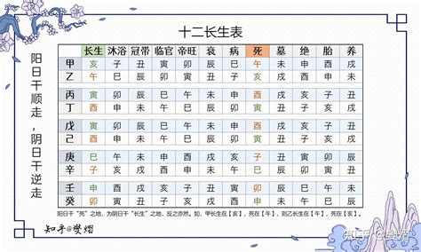 12 長生|八字記憶圖表，天干、地支、十二長生詳解